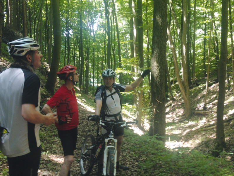 Im Steigerwald, den Haßbergen oder der Fränkischen Schweiz, Trails für Mountainbiker gibt es viele!